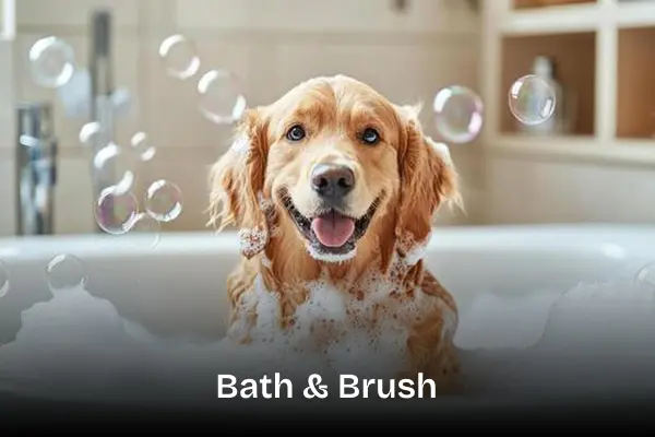 Bath & Brush treatment service. Dog bathing in a bath with bubbles.