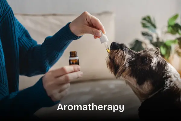 Aromatherapy treatment service. Dog sniffing a aroma smell bottle.