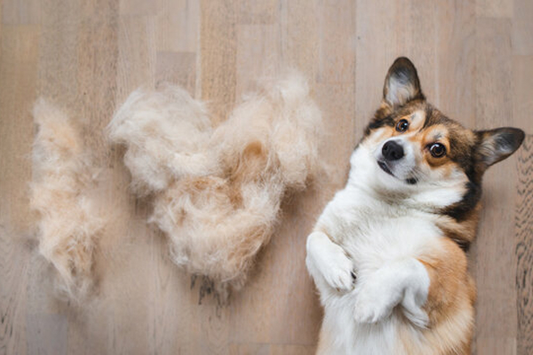 De-shedding