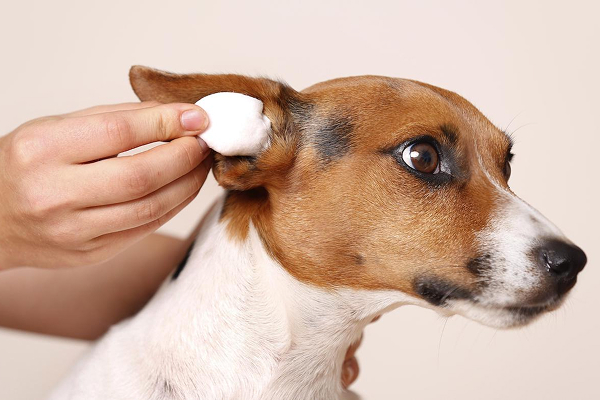 Ear cleaning